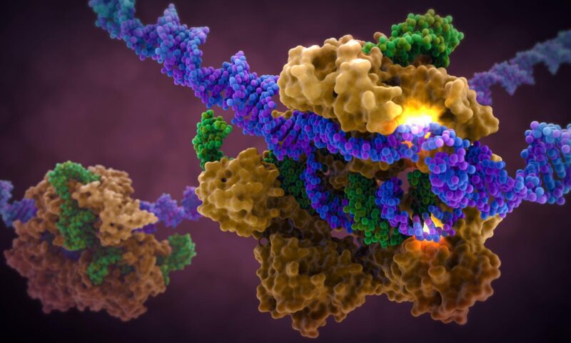 3D visualization of CRISPR-Cas9 protein complex cutting a DNA double helix strand during gene editing